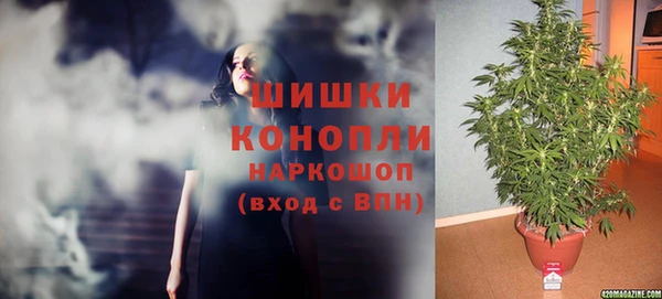 бошки Лагань