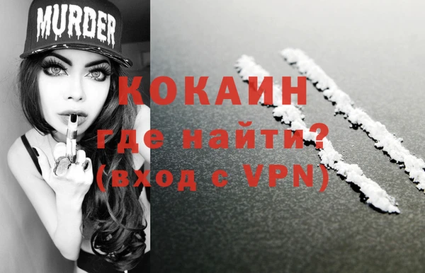 PSILOCYBIN Лабытнанги