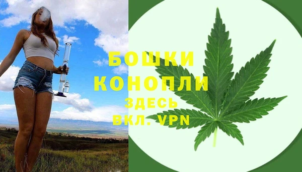 бошки Лагань